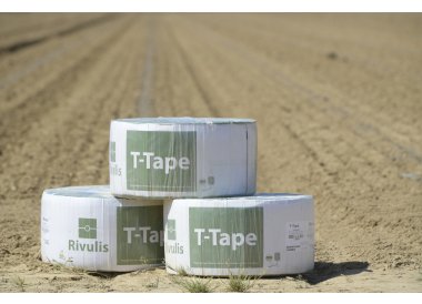 Taśmy kroplujące T-TAPE Rivulis - najpopularniejsze taśmy na rynku