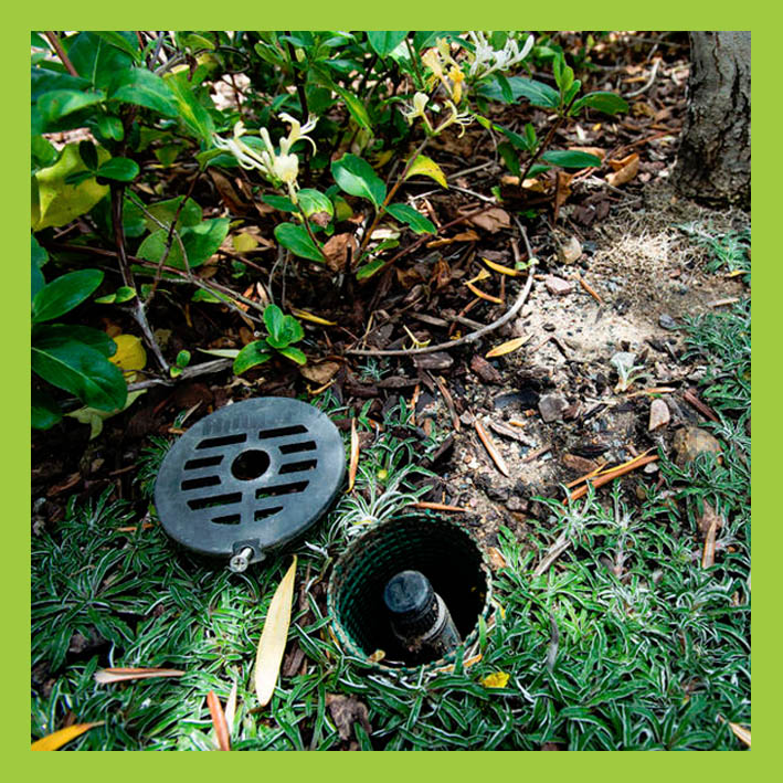 рейн берд капельный шланг. Hanter прикорневой полива. прикорневой полив деревьев. подпочвенное капельное орошение схема. дренажный полив винограда.