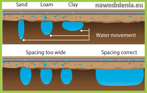 soil water